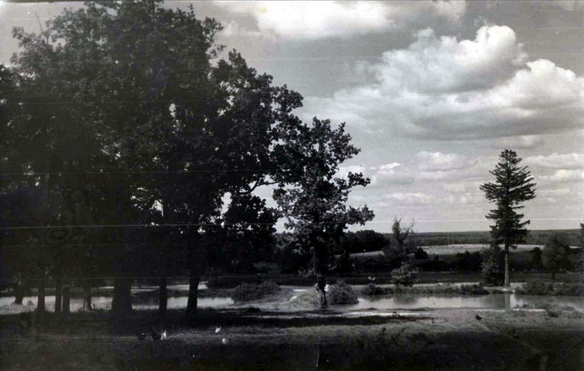 Могильцы. Парк и пруды. Фото начала 1960-х Е.В Коршуна